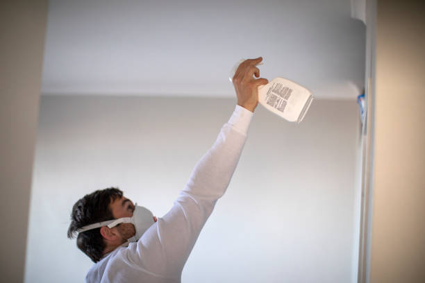 Best Emergency Mold Removal  in Clinton, KY