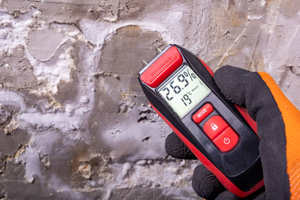 Best Mold Damage Repair  in Clinton, KY