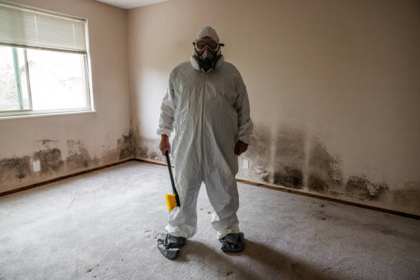 Best Crawl Space Mold Removal  in Clinton, KY
